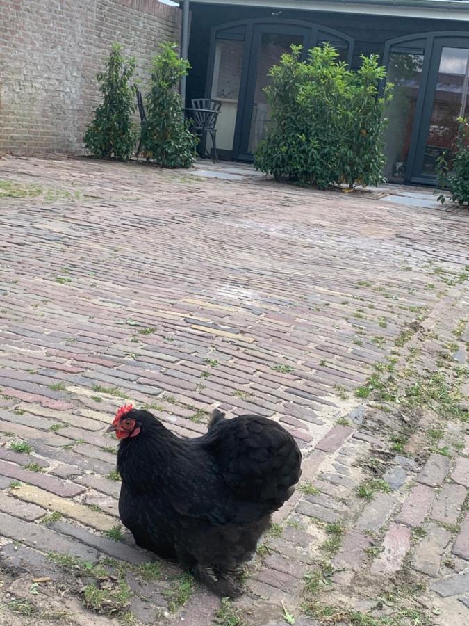 Het Dijkje Utrecht Apartment Luaran gambar
